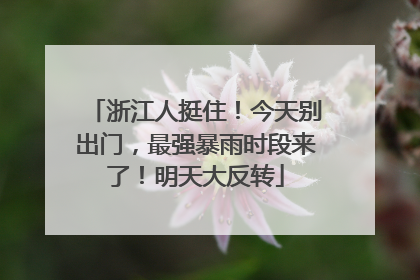 浙江人挺住！今天别出门，最强暴雨时段来了！明天大反转
